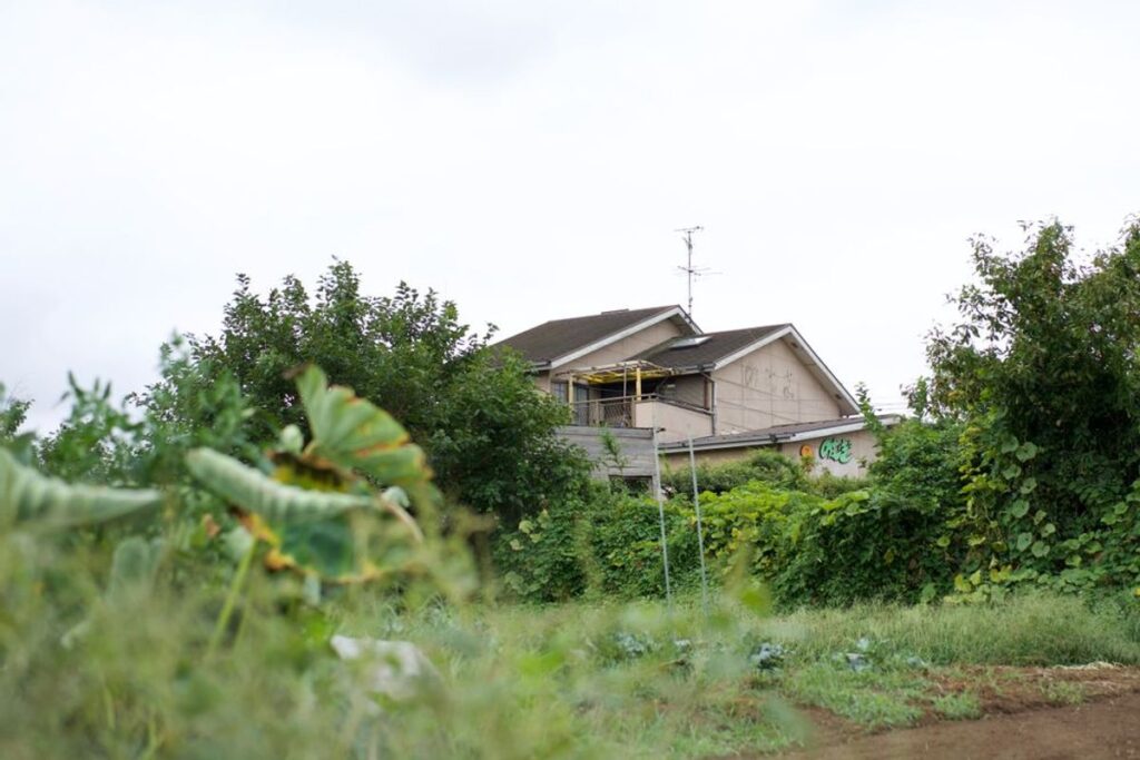 自然保育園どろん子の環境