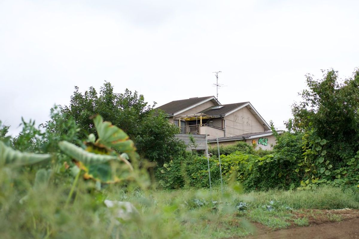 自然保育園どろん子の園舎と周辺環境