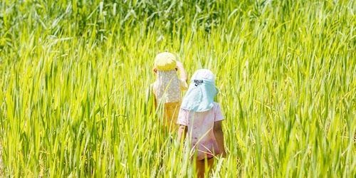 寺家ふるさと村の自然