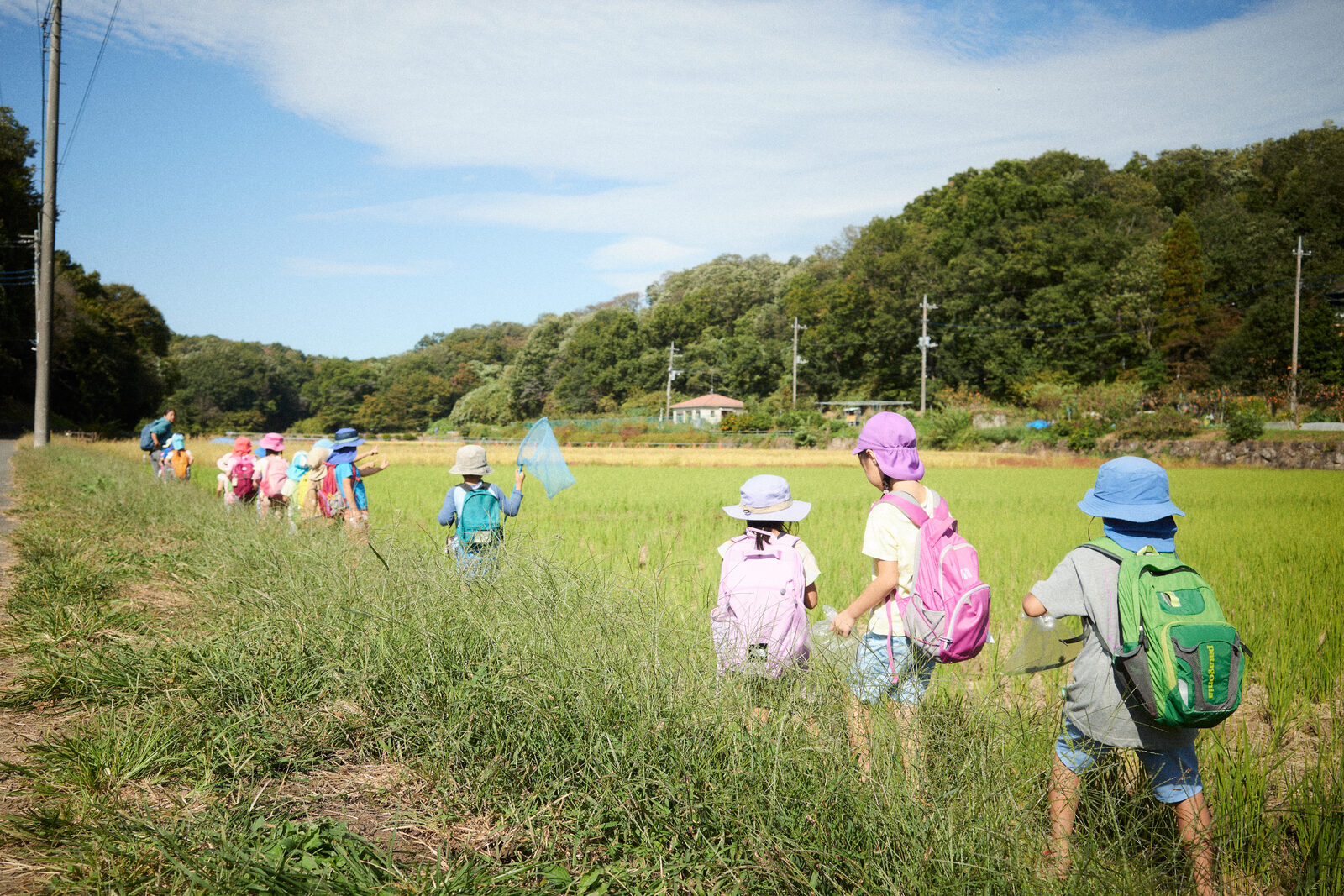 寺家の田んぼ道を仲間と歩くどろん子の子どもたち