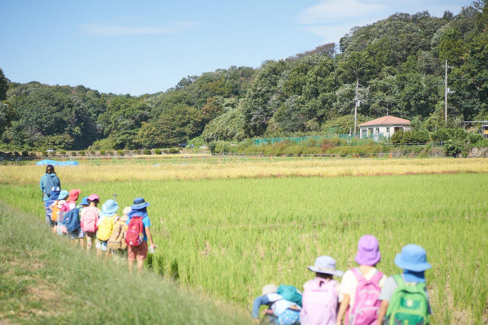 田んぼ道を歩くどろん子の子どもたち