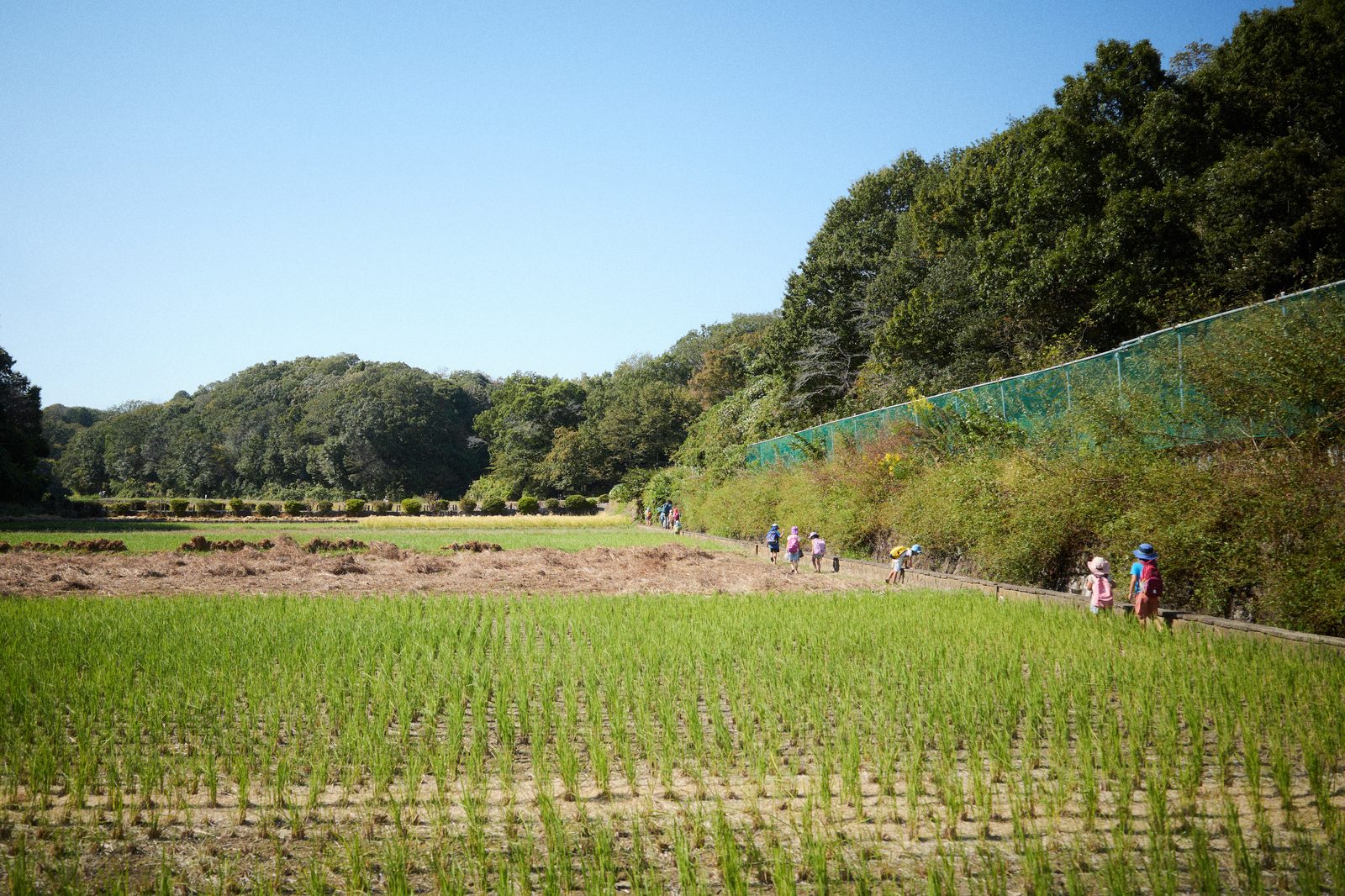 寺家ふるさと村の里山と田んぼ